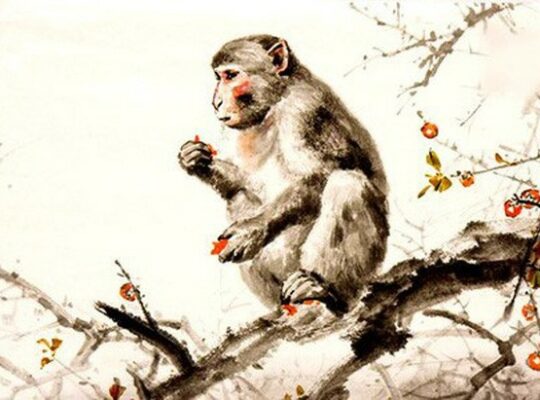 Người cầm tinh con khỉ nên khá khôn khéo và thông minh