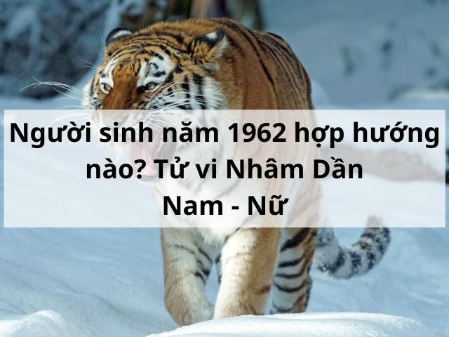 Tuổi Nhâm Dần 1962 nam, nữ hợp hướng nào?