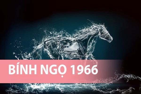 (Người tuổi Bính Ngọ sinh năm 1966 có cung mệnh là gì? Khám phá vận số theo các trường phái phong thủy khác nhau)