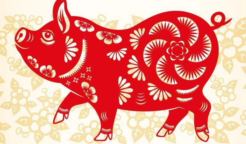 Người sinh năm 1983 cầm tinh con Lợn