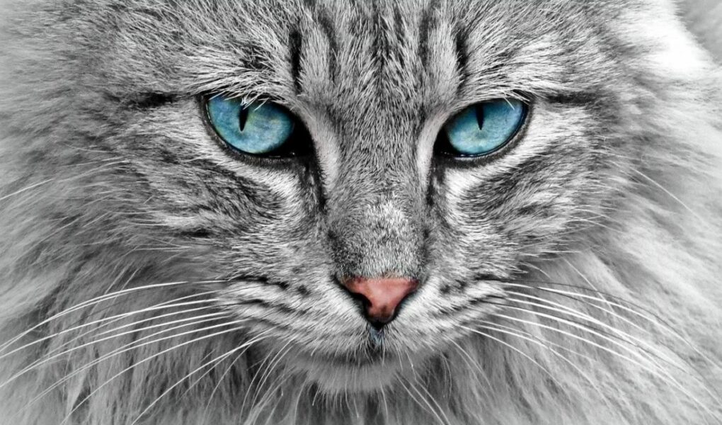 Sinh năm 1987 mệnh gì? Cung gì?