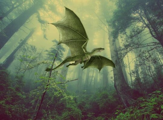 Sinh năm 1988 mệnh gì? Cung gì?