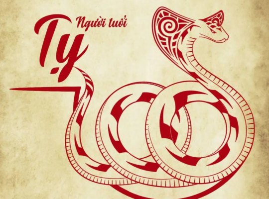 Người sinh năm 2001 là tuổi con Rắn