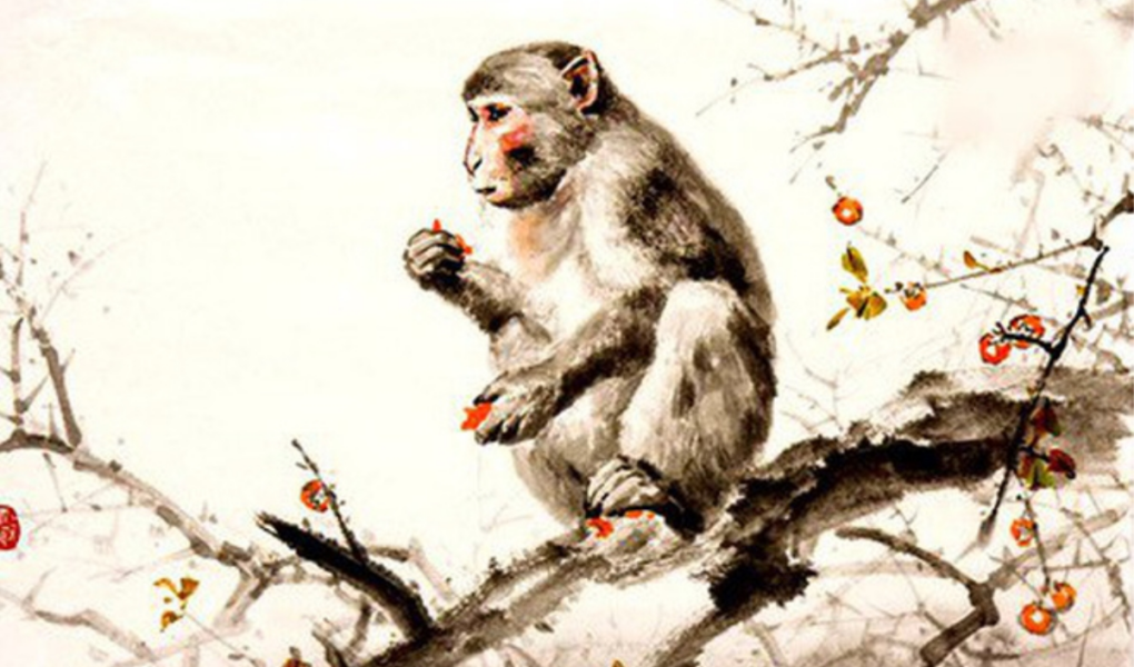 Người sinh năm 1977 là tuổi con Khỉ