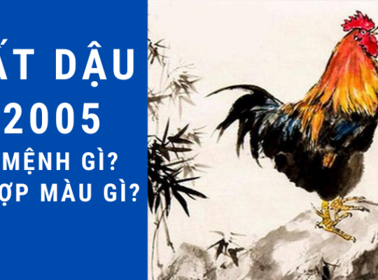 (Luận giải tướng số, vận mệnh của người sinh năm 2005)