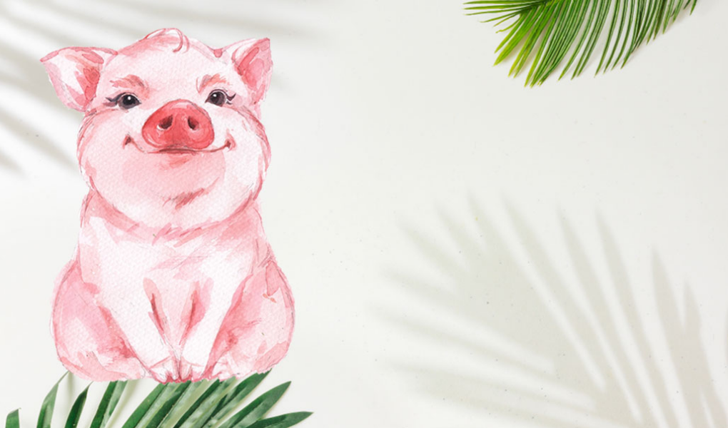 (Cung mệnh của bé sinh năm 2019 là gì?)