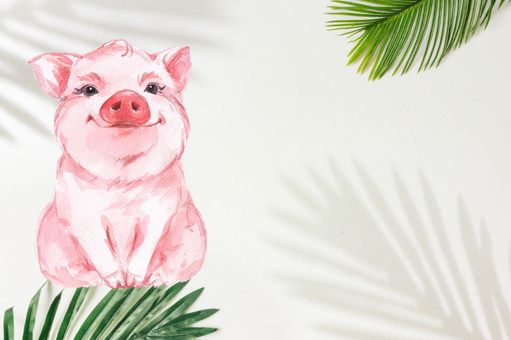 (Cung mệnh của bé sinh năm 2019 là gì?)