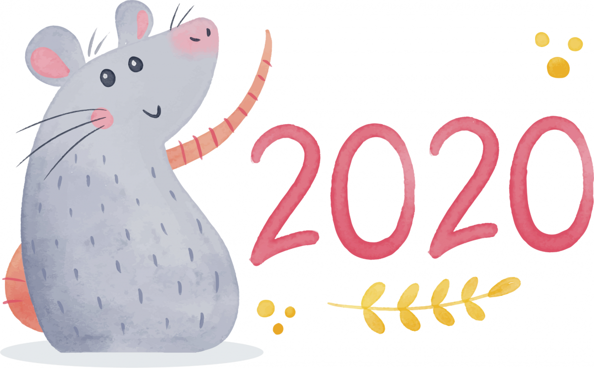 (Người sinh năm 2020 thuộc mệnh Thổ)