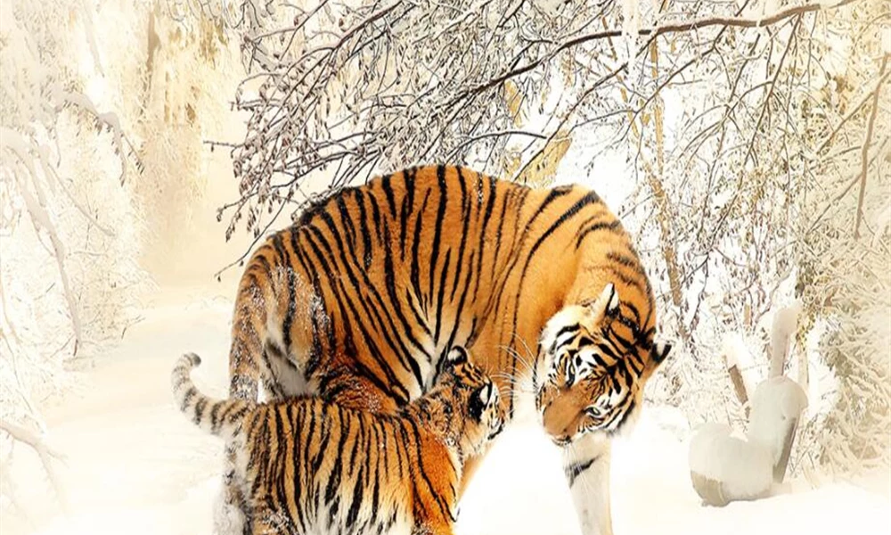 Người sinh năm 2022 thuộc mệnh Kim