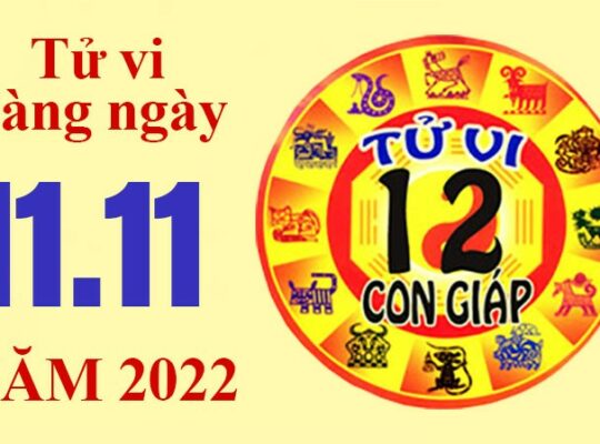 Tử vi hôm nay, xem tử vi 12 con giáp ngày 11/11/2022: