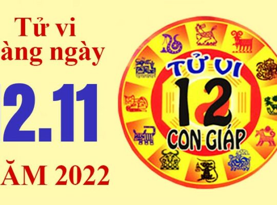Tử vi hôm nay, xem tử vi 12 con giáp ngày 12/11/2022: