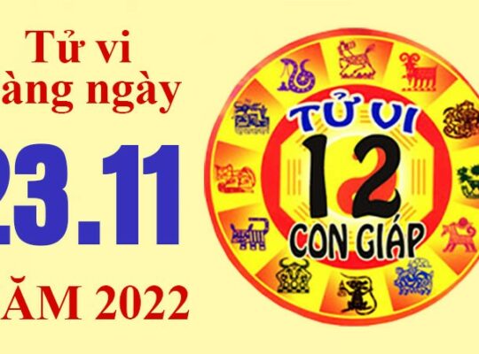 Tử vi hôm nay, xem tử vi 12 con giáp ngày 23/11/2022: