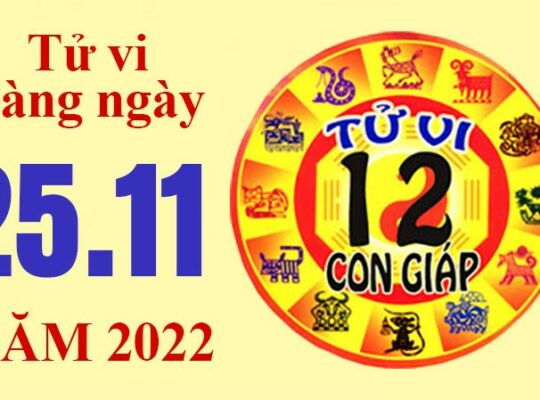 Tử vi hôm nay, xem tử vi 12 con giáp ngày 25/11/2022: