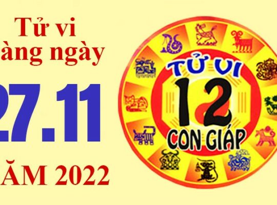 Tử vi hôm nay, xem tử vi 12 con giáp ngày 27/11/2022: Tuổi Mùi gia đạo bình an