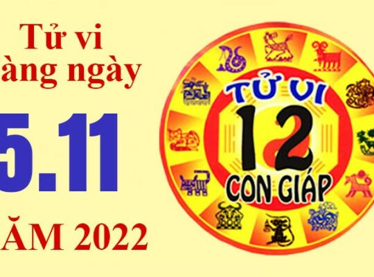 Tử vi hôm nay, xem tử vi 12 con giáp ngày 5/11/2022: