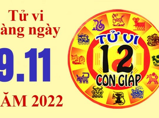 Tử vi hôm nay, xem tử vi 12 con giáp ngày 9/11/2022: