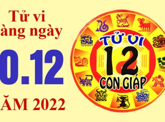 Tử vi hôm nay, xem tử vi 12 con giáp ngày 10/12/2022: