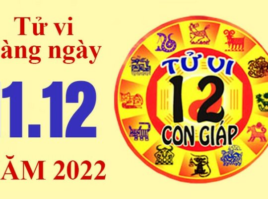 Tử vi hôm nay, xem tử vi 12 con giáp ngày 11/12/2022: