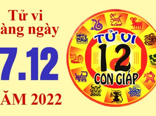 Tử vi hôm nay, xem tử vi 12 con giáp ngày 17/12/2022: