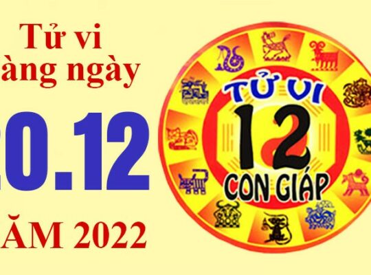 Tử vi hôm nay, xem tử vi 12 con giáp ngày 20/12/2022: