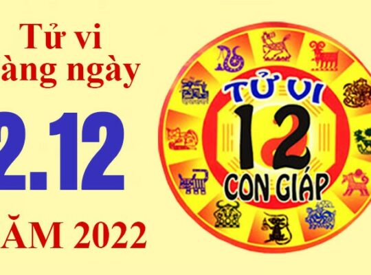 Tử vi hôm nay, xem tử vi 12 con giáp ngày 2/12/2022: