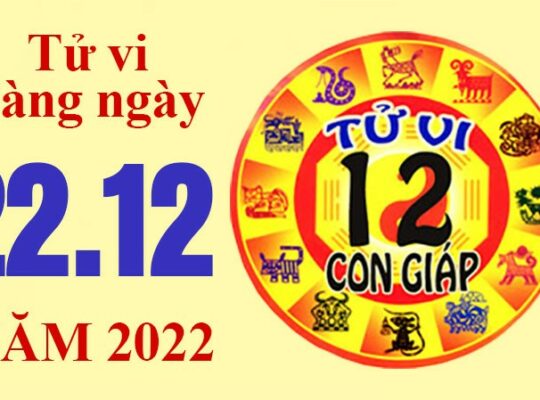 Tử vi hôm nay, xem tử vi 12 con giáp ngày 22/12/2022: