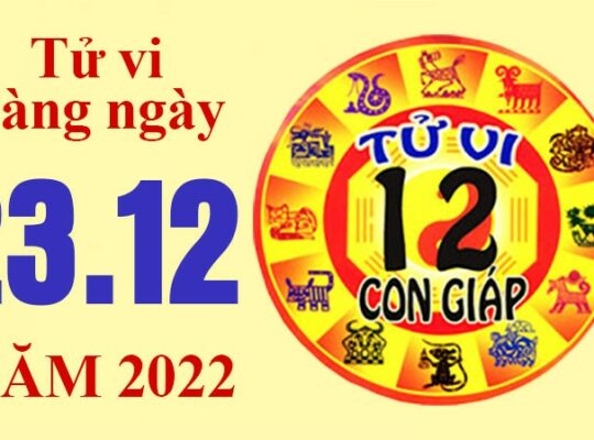 Tử vi hôm nay, xem tử vi 12 con giáp ngày 23/12/2022: