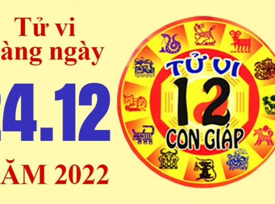 Tử vi hôm nay, xem tử vi 12 con giáp ngày 24/12/2022: