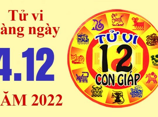 Tử vi hôm nay, xem tử vi 12 con giáp ngày 4/12/2022: