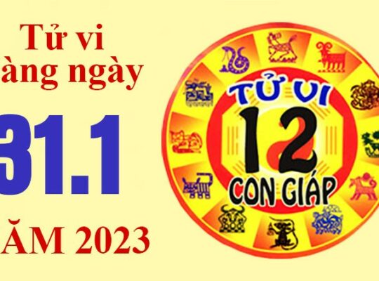 Tử vi hôm nay, xem tử vi 12 con giáp ngày 31/1/2023: